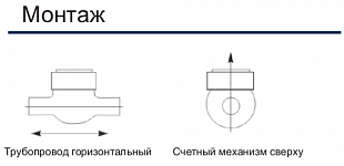SENSUS MN QN ... XN ������